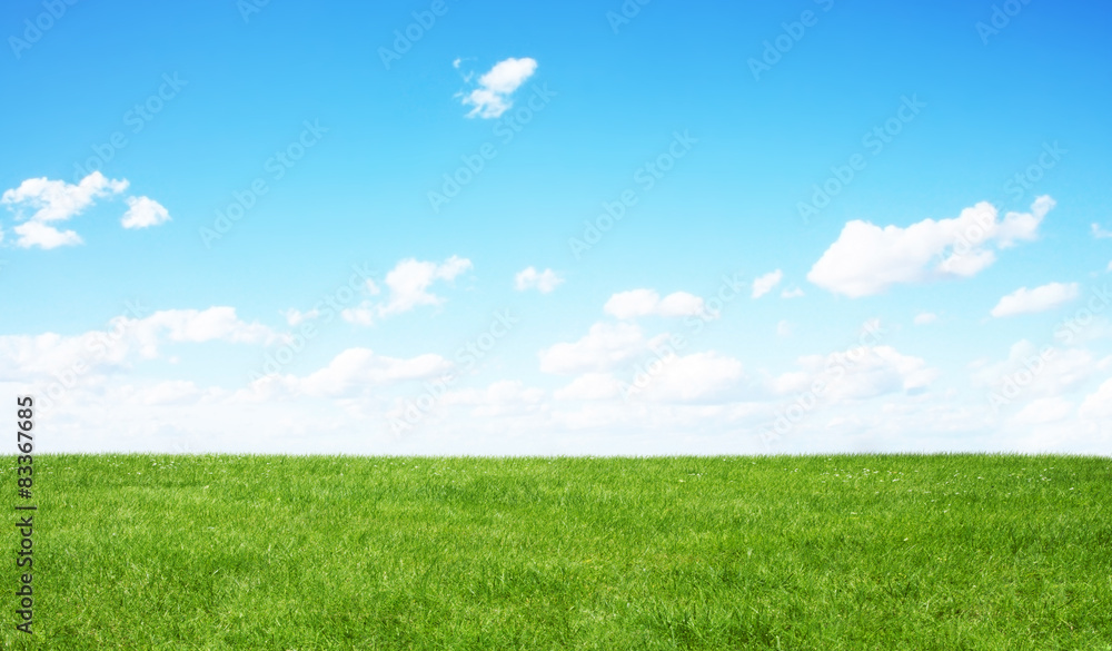 Green field and blue sky