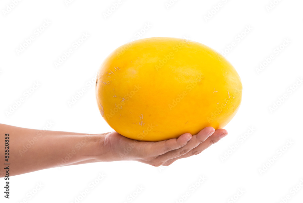 Females hand holding honeydew melon