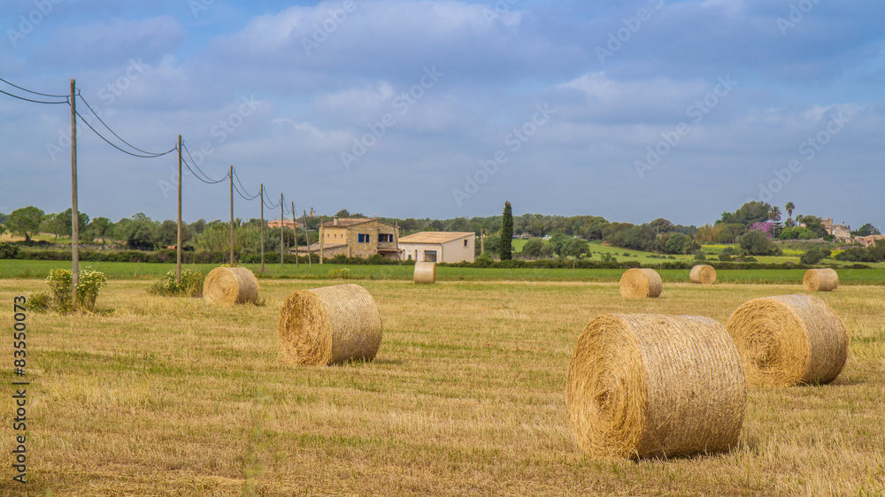 Mallorca - Spain