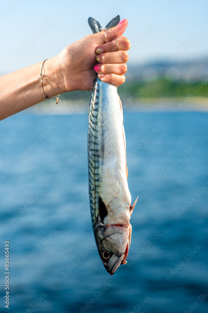 Holding fish