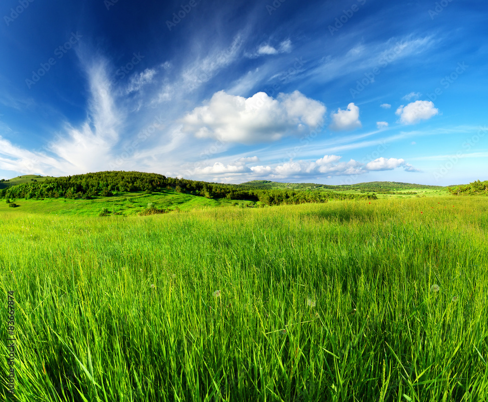 绿野蓝天，夏日美景