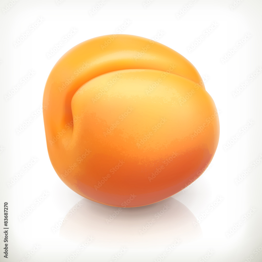 Apricot, summer fruit, vector icon