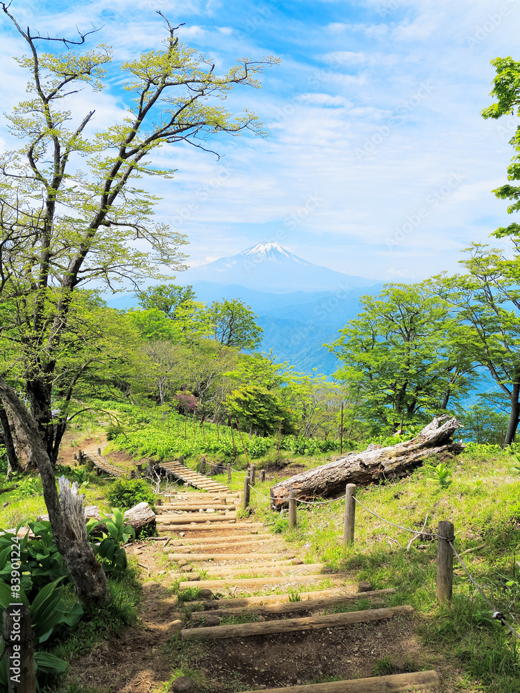 丹沢檜洞丸から見える富士山と木道