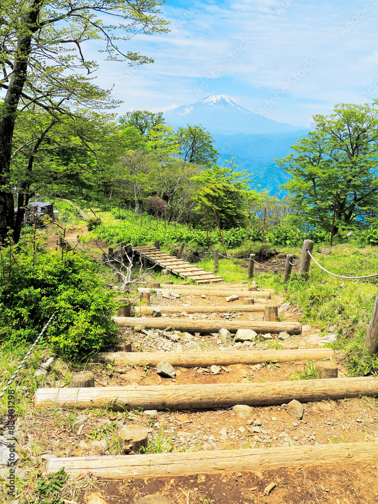 丹沢檜洞丸から見える富士山と木道