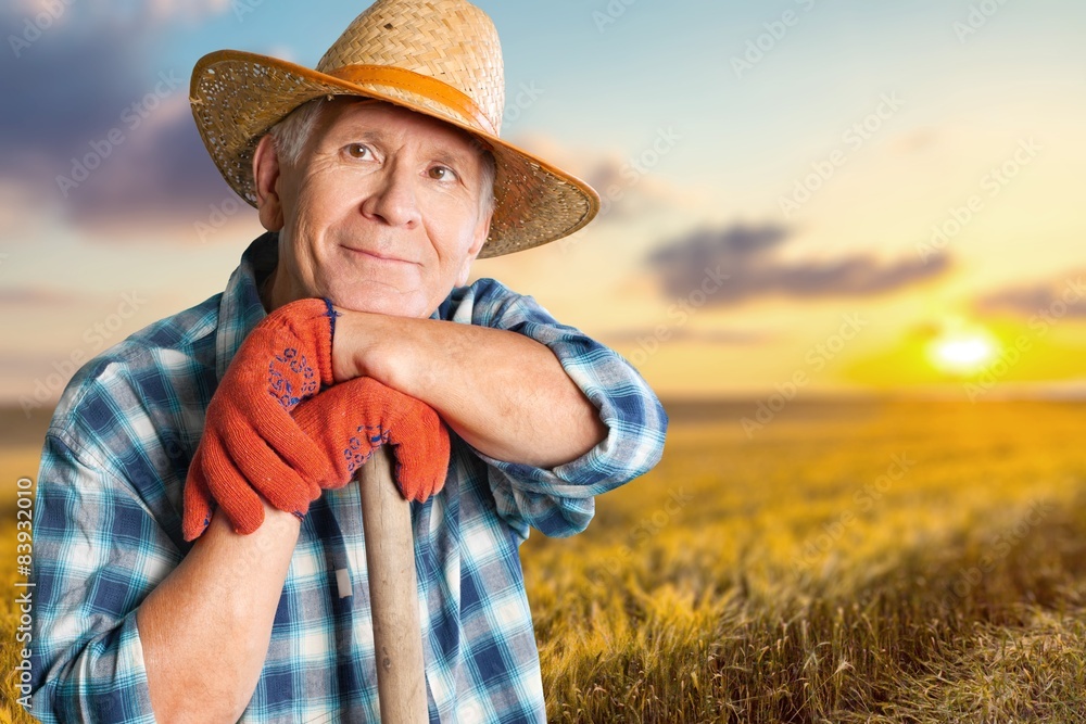 Gardening, Senior Adult, Men.