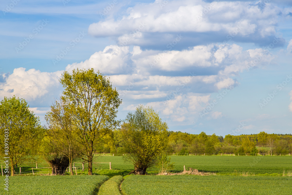 Wanderweg