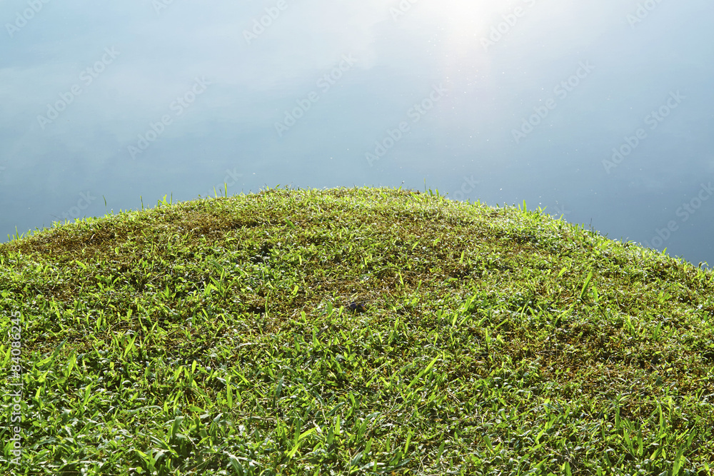 绿草江湖