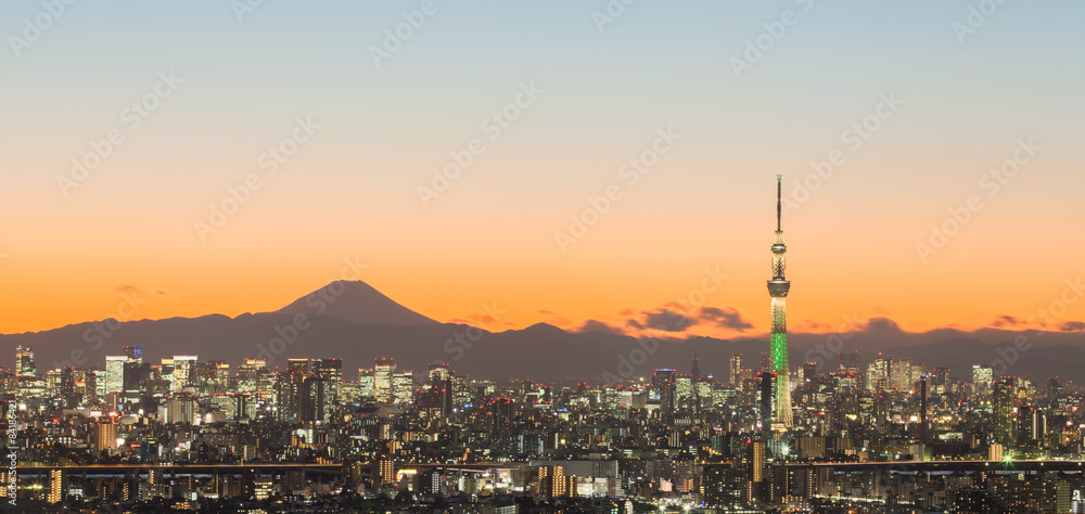 东京天树和富士山的东京城市景观。