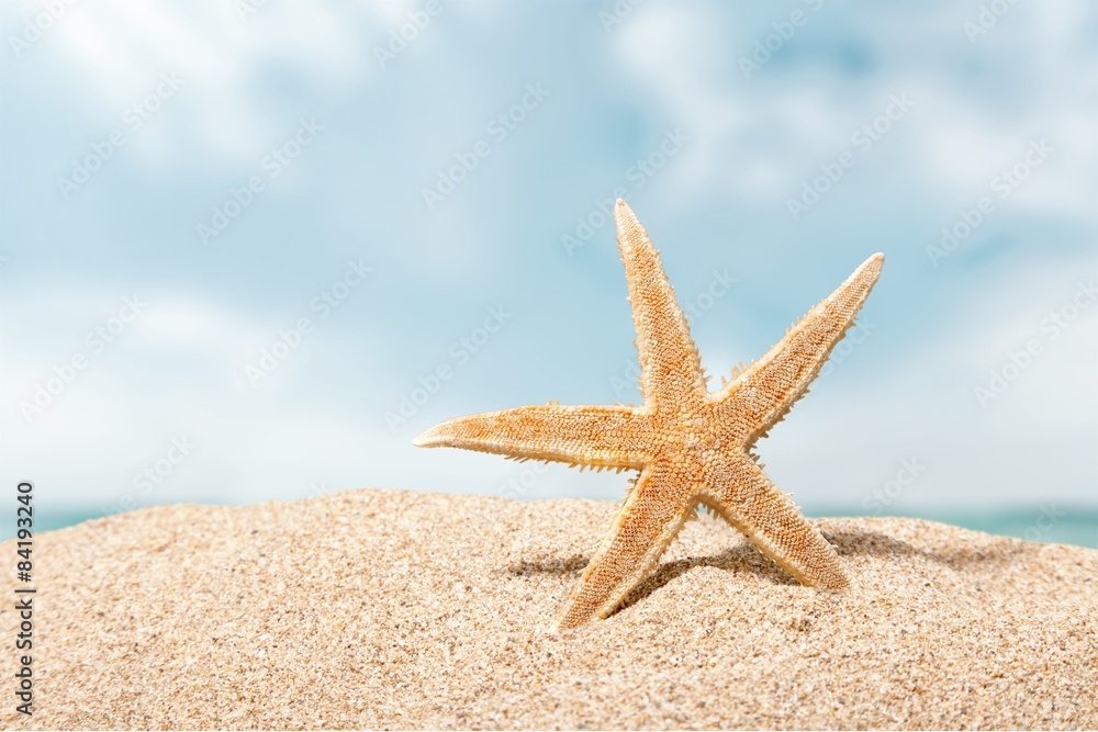 Beach, starfish, caribbean.