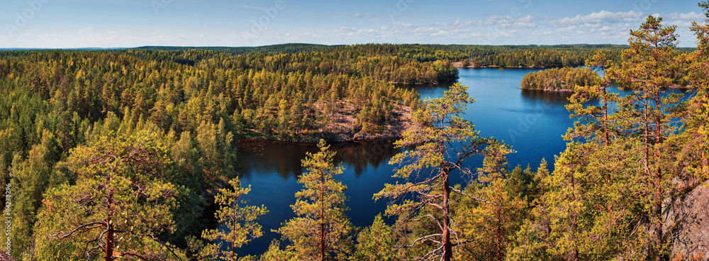 Finland forest