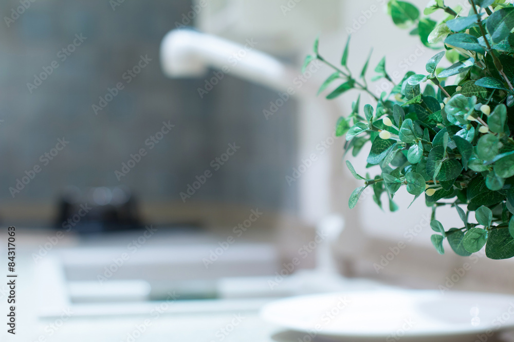 kitchen sink and decoration