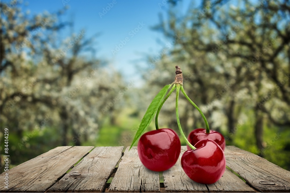 Cherry, Isolated, Fruit.