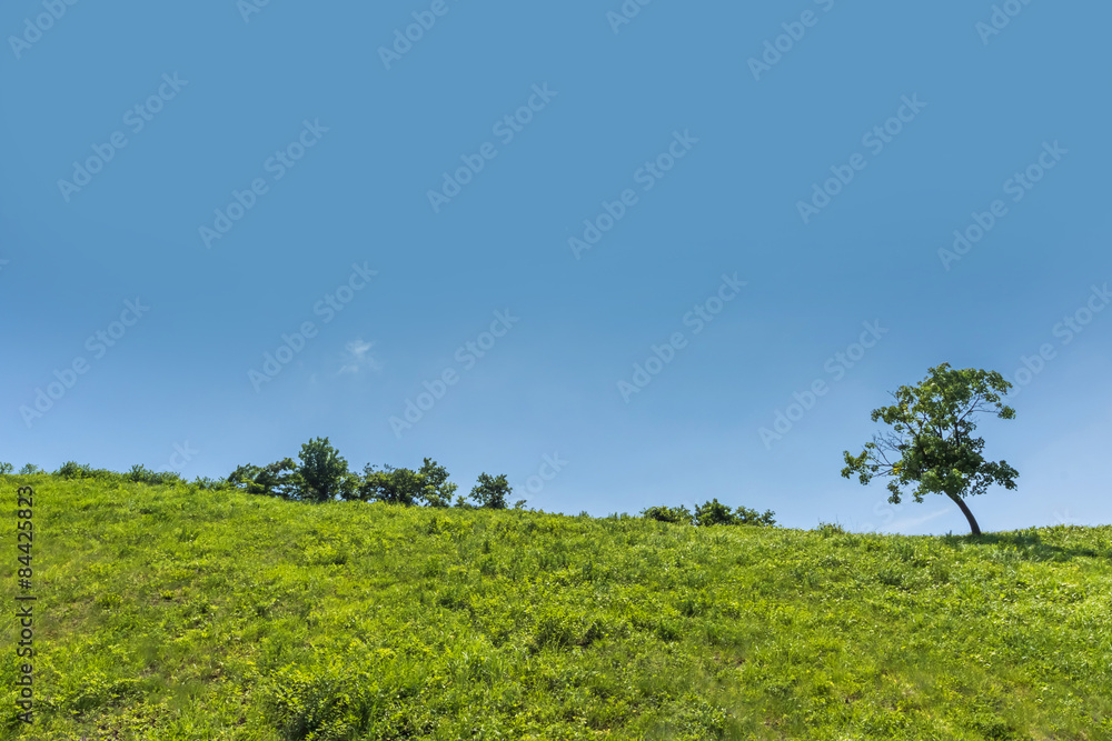 初夏の高原 Blue sky of the plateau early summer 