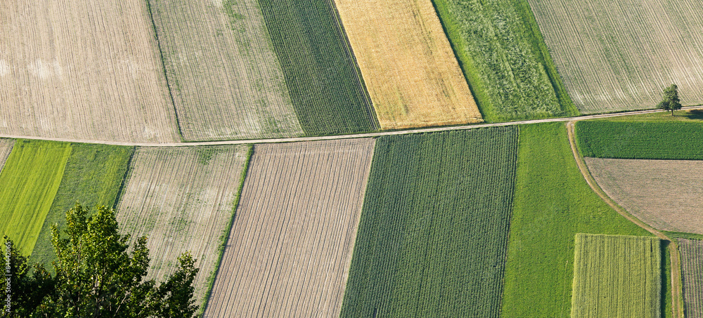 Freshly plowed and sowed farming land from above