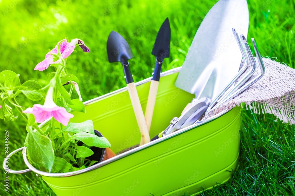 Gardening Equipment, Gardening, Rake.