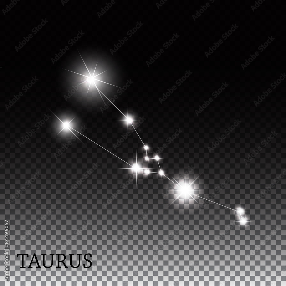 Taurus Zodiac Sign of the Beautiful Bright Stars Vector Illustra