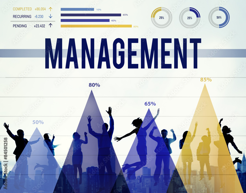 Management Organization Manager Managing Concept