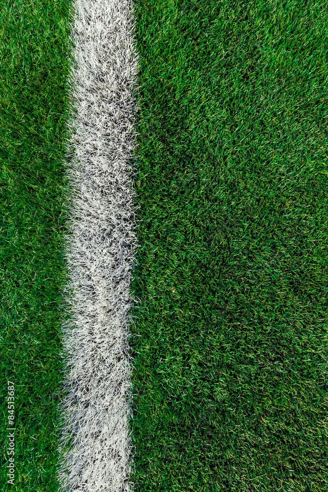 Grass, Playing Field, Sport.