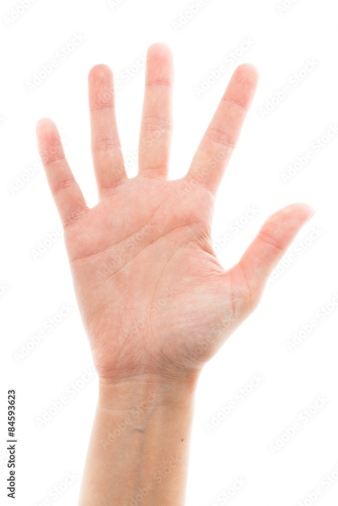 Human Hand, Counting, Human Finger.