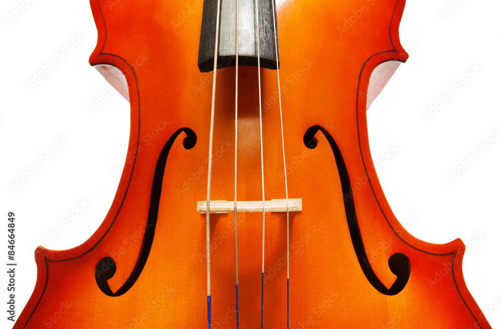 Violoncello body with bridge and F-holes