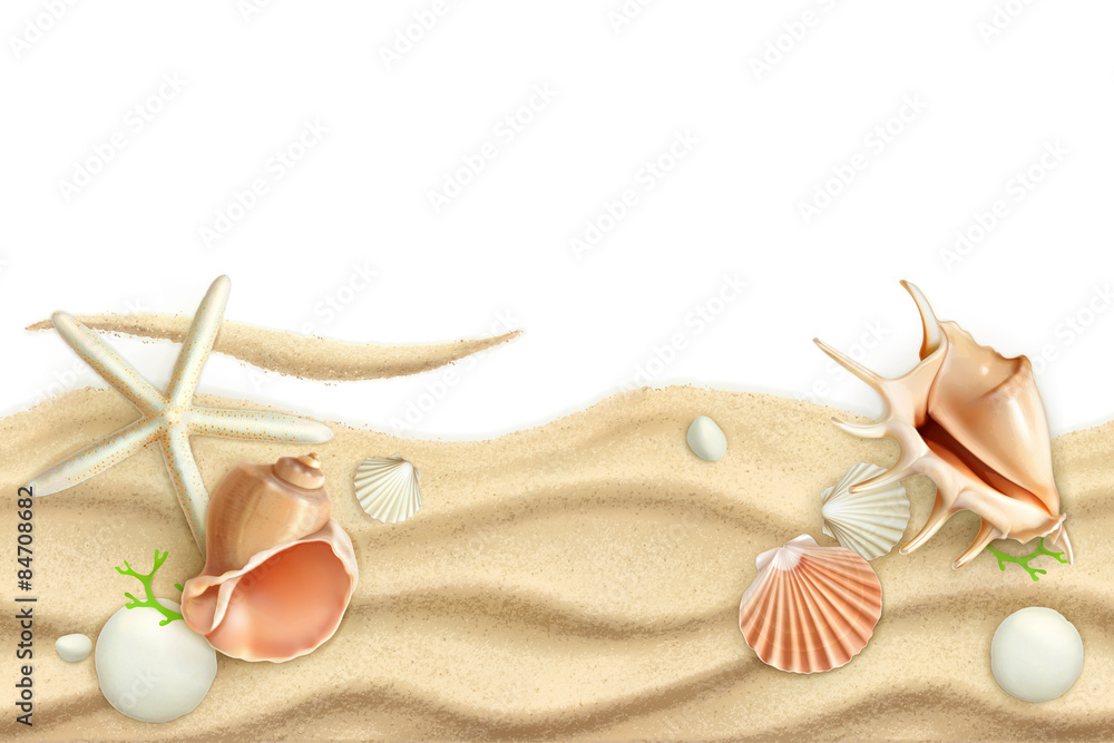 Seashells on sand, vector background