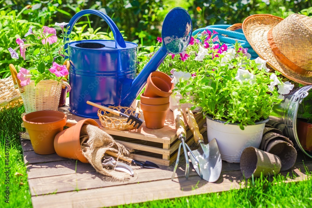 Gardening, garden, flower.