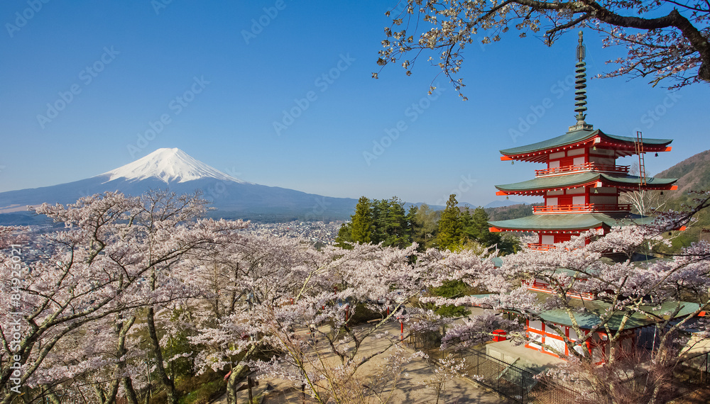 Japan beautiful landscape Mountain Fuji and Chureito red pagoda with cherry blossom sakura