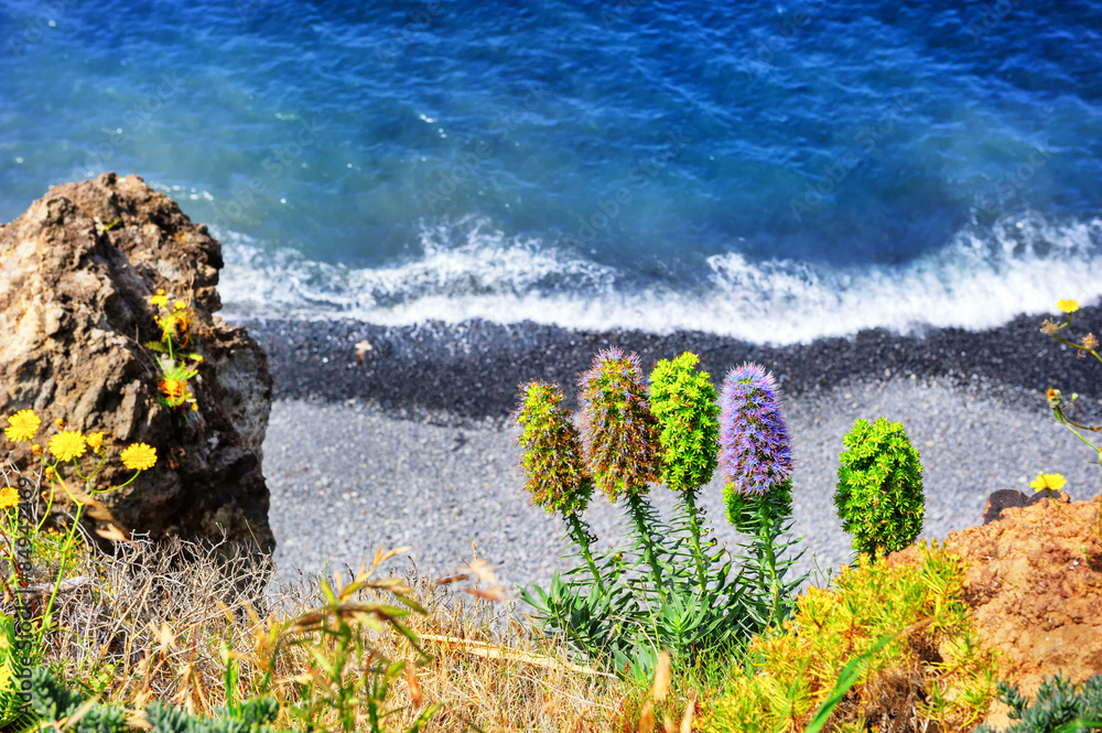 Summer landscape with beach. Madeira island