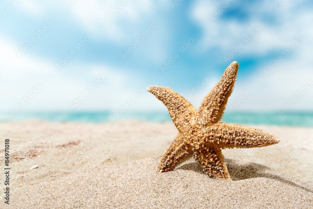 Beach, starfish, caribbean.