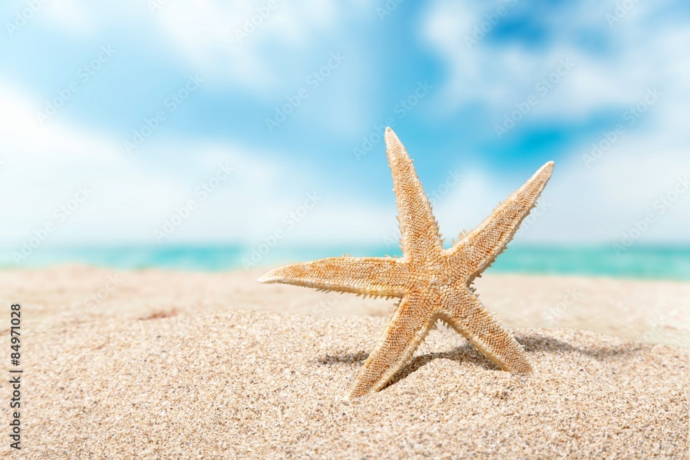 Beach, starfish, caribbean.