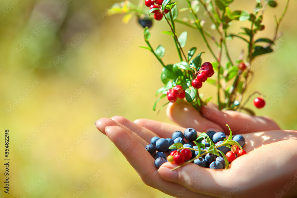 Blueberry and lingonberry