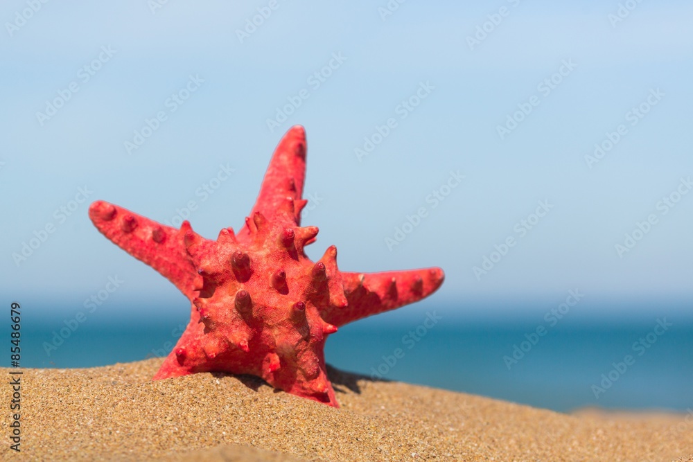 Sand, stars, beach.