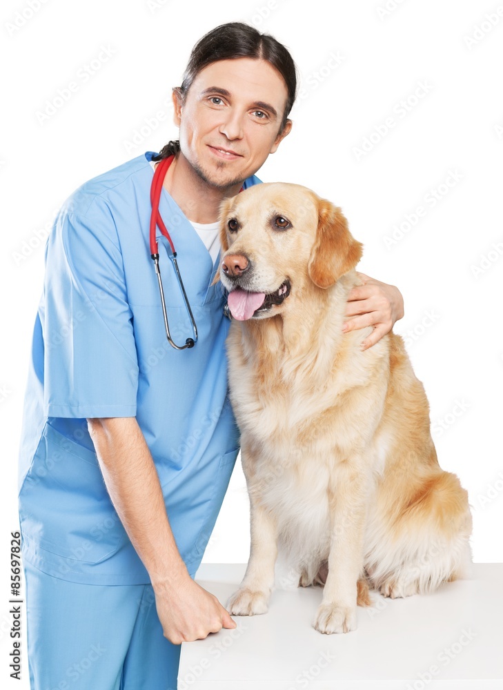 Veterinarian, vet, dog.