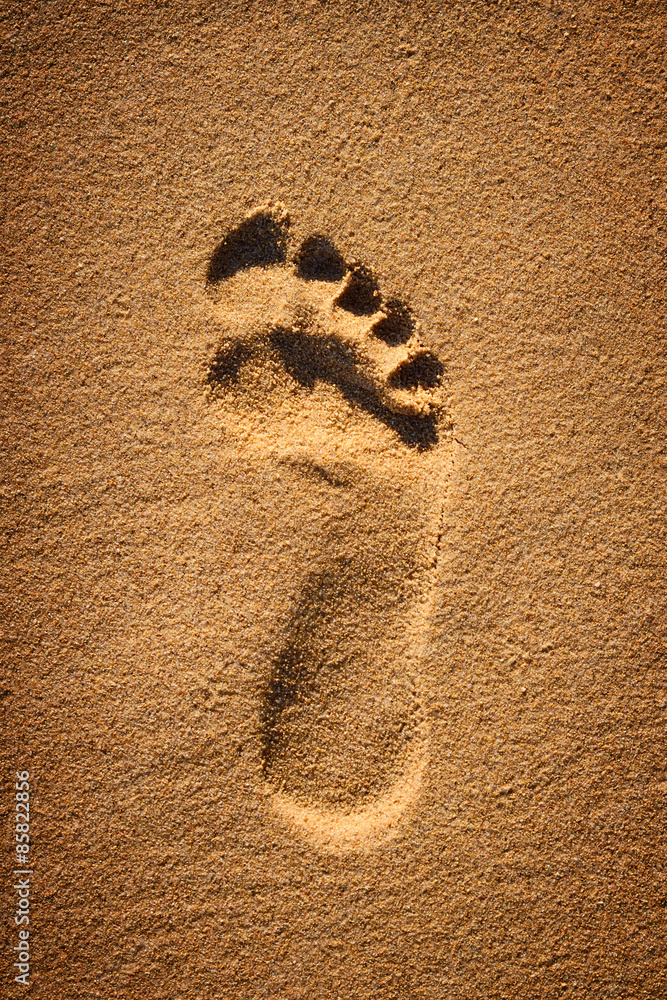 Footprint in the sand