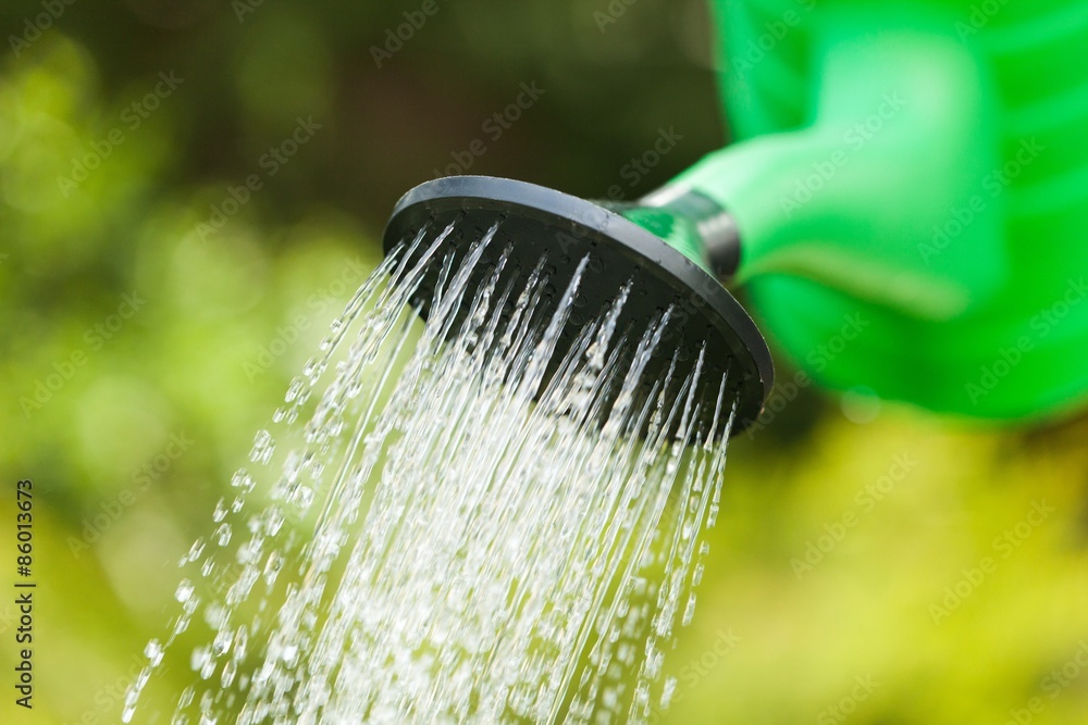 Watering, Watering Can, Vegetable Garden.