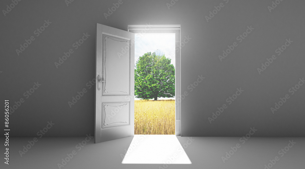 Porta aperta su giardino e albero