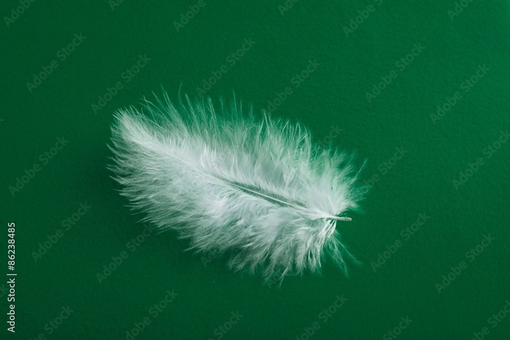 Feather, Tickling, White.