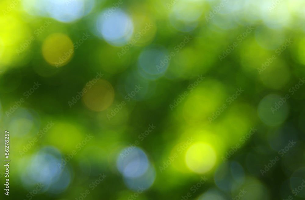 green bokeh