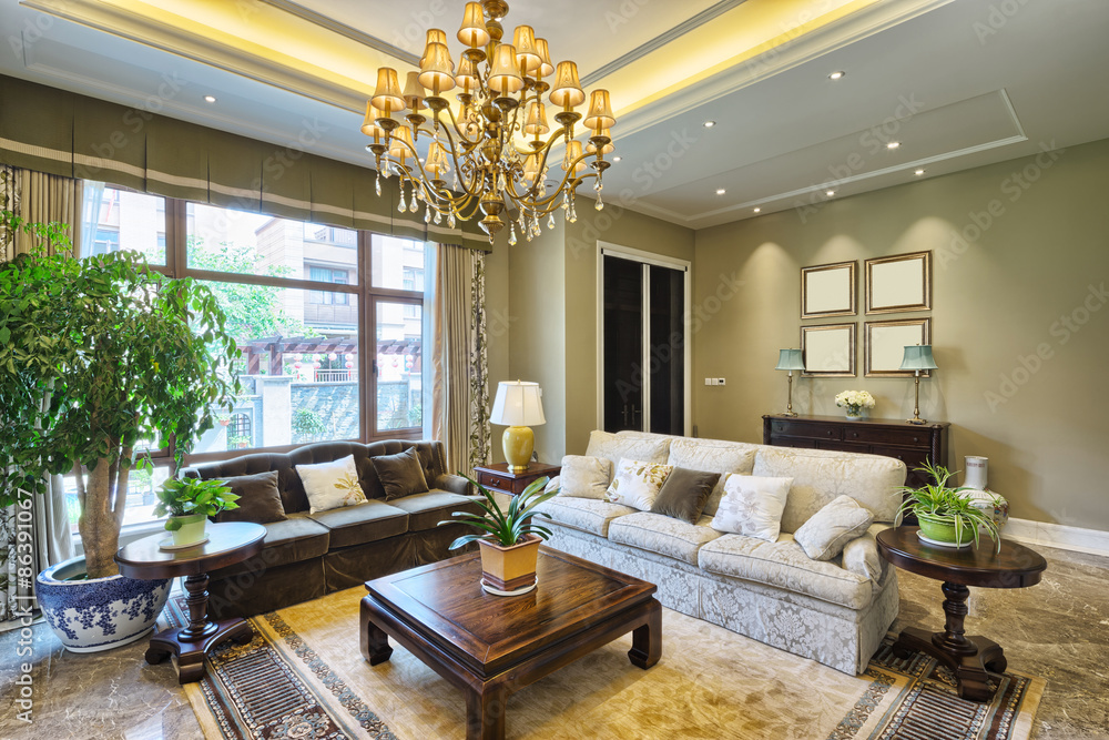 luxury living room interior