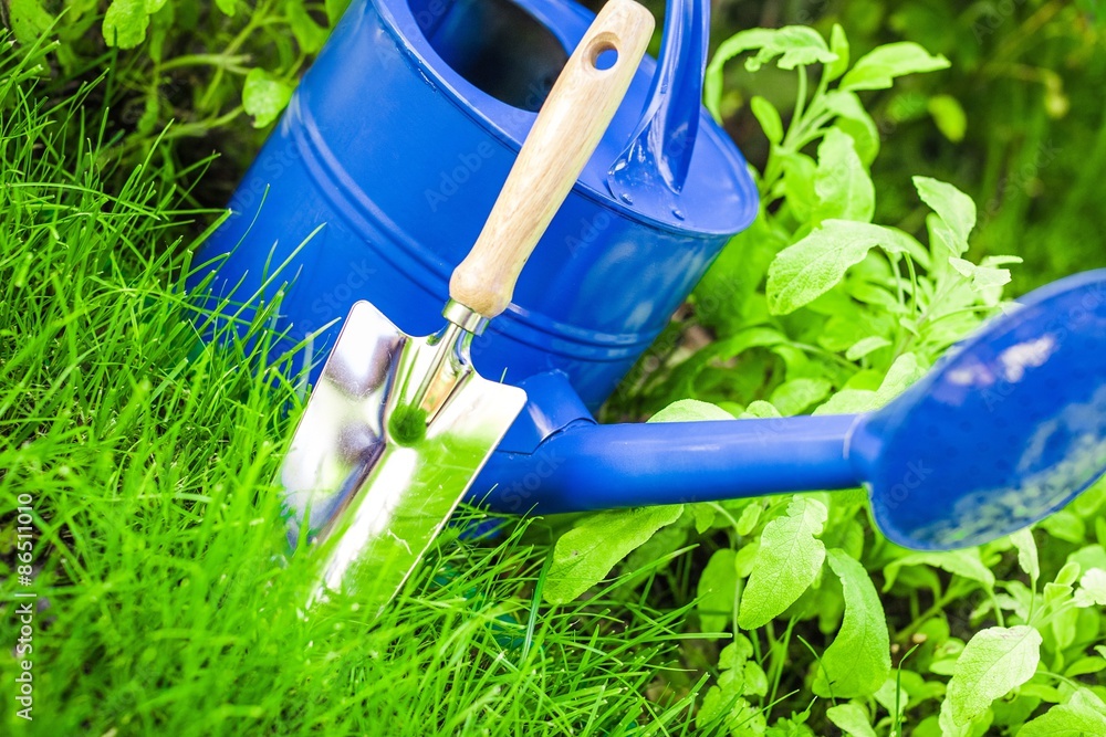 Gardening Equipment, Gardening, Watering Can.