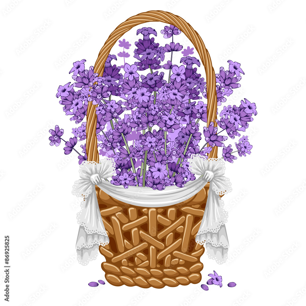 Lavender in basket