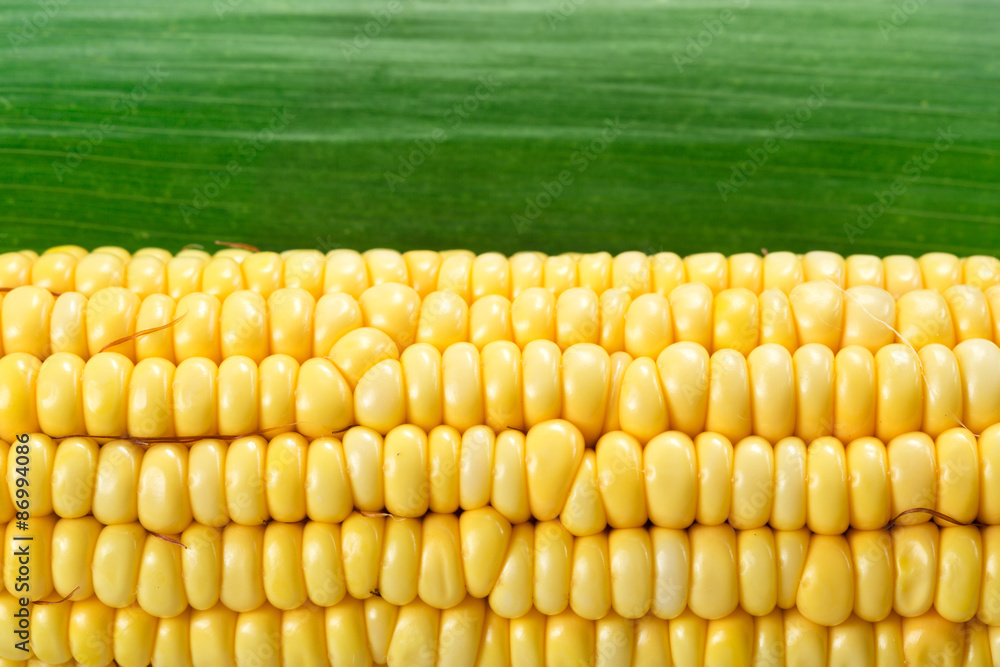 corn