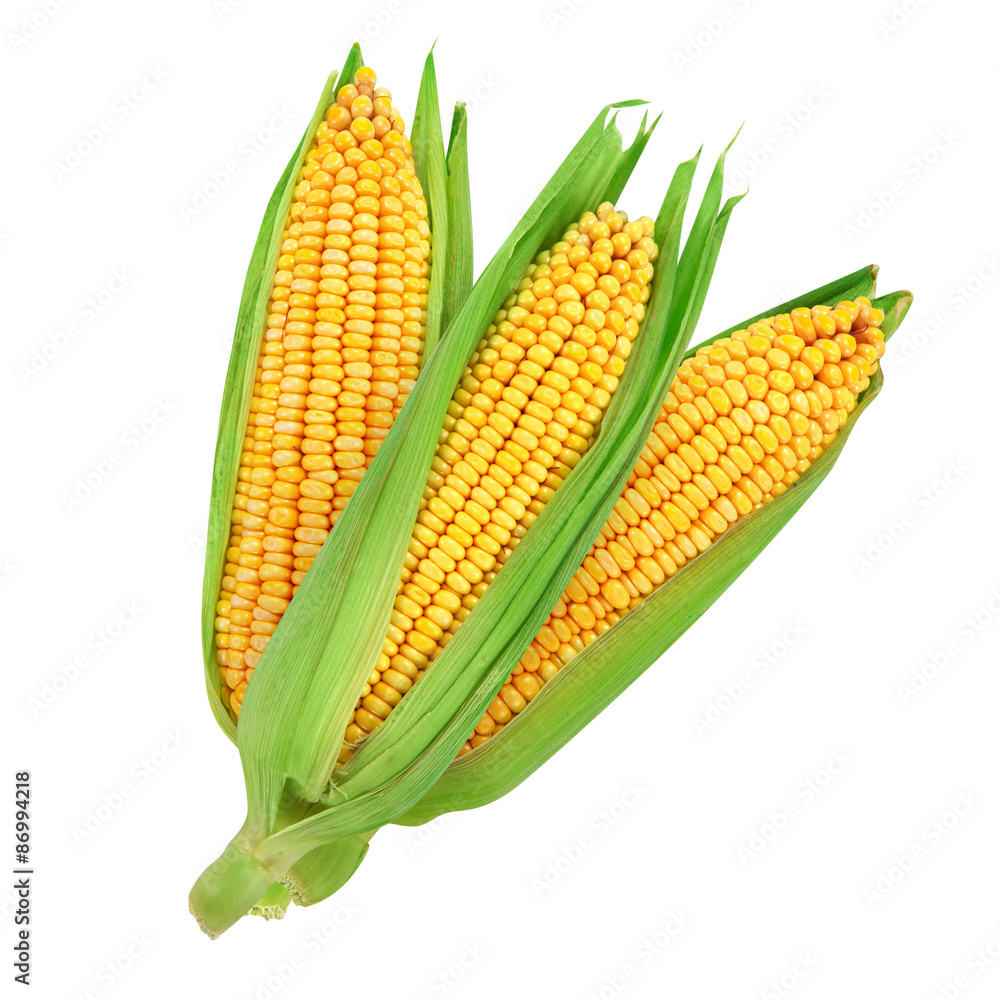 Corn