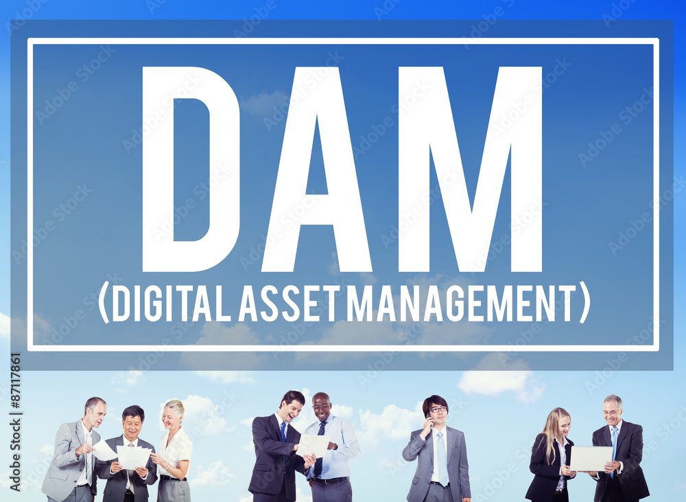 DAM Digital Asset Management Organization Concept