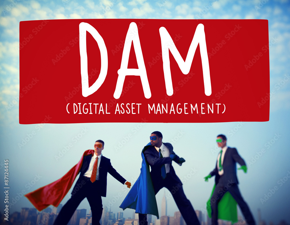 DAM Digital Asset Management Organization Concept