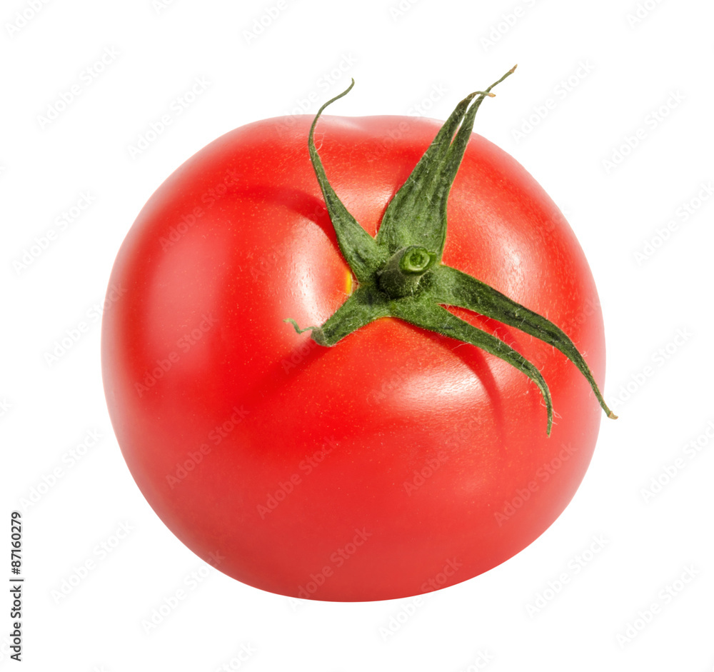 Tomatoe隔离于白色