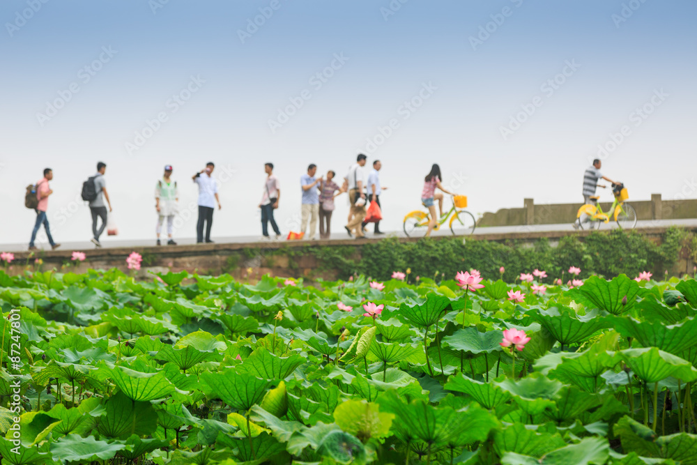 Hangzhou west lake broken bridge scenery， in China