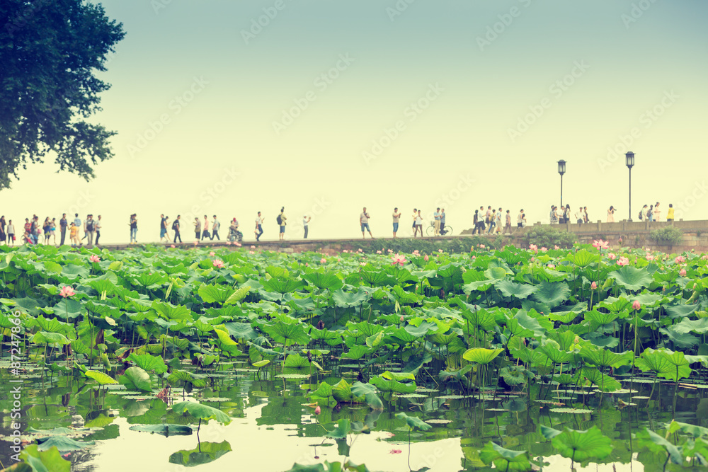 Hangzhou west lake broken bridge scenery， in China