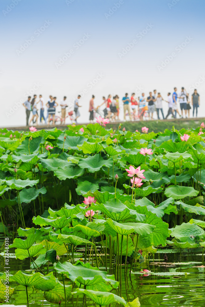 Hangzhou west lake broken bridge scenery， in China