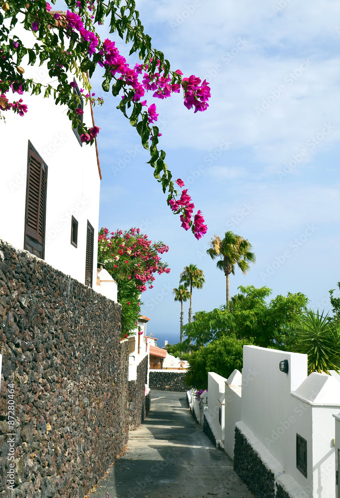 Street in Tenerife,Canary Islands.